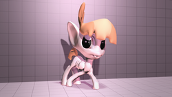 Size: 1920x1080 | Tagged: safe, artist:fillerartist, featherweight, pony, g4, 3d, blender, looking at you, male, render, solo