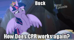 Size: 600x329 | Tagged: safe, artist:doc rainbow, edit, edited screencap, screencap, princess celestia, twilight sparkle, alicorn, pony, g4, princess twilight sparkle (episode), cpr, element of magic, grammar error, image macro, meme, raised hoof, text, twilight sparkle (alicorn)