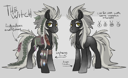 Size: 4000x2433 | Tagged: safe, artist:firewoodtemple, oc, oc only, oc:the witch, medicine, reference sheet
