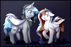 Size: 3189x2097 | Tagged: safe, artist:reavanna, oc, oc only, oc:stormy nights, oc:waffles, bat pony, pegasus, pony, beanie, duo, hat, high res, long mane, simple background, size difference