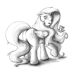 Size: 1000x1000 | Tagged: safe, artist:blue-paint-sea, fluttershy, pony, g4, butt, female, flutterbutt, looking back, monochrome, open mouth, plot, raised hoof, signature, simple background, sketch, solo, white background