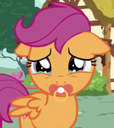 Size: 395x444 | Tagged: safe, edit, edited screencap, editor:mrdoctorderpy, screencap, scootaloo, g4, the fault in our cutie marks, cropped, crying, cute, cutealoo, floppy ears, frown, pacifier, pacifier edit, sad