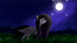 Size: 2560x1440 | Tagged: safe, artist:xxdarkmindxx, oc, oc only, pegasus, pony, female, mare, moon, night, solo