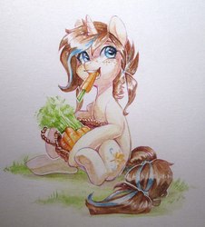 Size: 978x1080 | Tagged: safe, artist:aphphphphp, oc, oc only, earth pony, pony, unicorn, basket, carrot, eating, food, herbivore, sitting, solo, traditional art, watercolor painting
