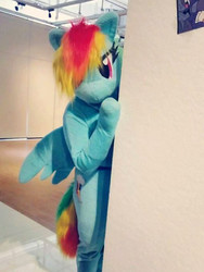 Size: 517x688 | Tagged: safe, artist:rogerdaily, rainbow dash, human, g4, bronyonly, clothes, convention, cosplay, costume, fursuit, irl, irl human, photo, solo