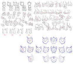 Size: 2400x2100 | Tagged: safe, anatomy, high res, reference sheet, sketch