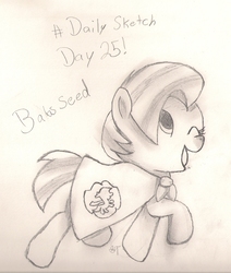 Size: 1410x1660 | Tagged: safe, artist:silversthreads, babs seed, pony, g4, daily sketch, female, filly, sketch, solo, traditional art