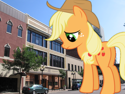 Size: 1600x1200 | Tagged: safe, artist:logan859, artist:tryhardbrony, applejack, earth pony, pony, g4, butt, cedar rapids, giant pony, highrise ponies, iowa, irl, macro, photo, plot, ponies in real life