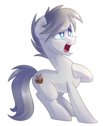 Size: 2236x2724 | Tagged: safe, artist:drawntildawn, oc, oc only, earth pony, pony, high res, male, simple background, solo, stallion, transparent background