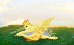 Size: 1707x1041 | Tagged: safe, artist:testostepone, spitfire, pony, g4, colored sketch, female, flexible, solo, splits, stretchfire, stretching