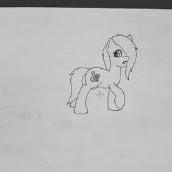 Size: 1060x1060 | Tagged: safe, artist:nightwind-arts, oc, oc only, oc:steelsnap, earth pony, pony, female, hair over one eye, long hair, long mane, looking back, mare, raised hoof, simple background, sketch, solo, surprised, traditional art, white background