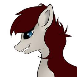 Size: 2000x2000 | Tagged: safe, artist:caduceus, oc, oc only, pony, high res, male, solo