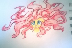 Size: 1075x720 | Tagged: safe, artist:inowiseei, fluttershy, pony, g4, bust, female, looking at you, portrait, sketch, solo, spread out hair, tentacle hair, traditional art