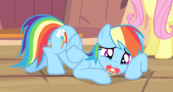 Size: 1018x545 | Tagged: safe, edit, editor:mrdoctorderpy, screencap, fluttershy, rainbow dash, bats!, g4, adult foal, cropped, crying, funny, pacifier