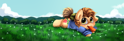 Size: 2500x833 | Tagged: safe, artist:pridark, oc, oc only, earth pony, pony, carrot, clothes, flower, food, grass, looking at you, prone, shirt, solo