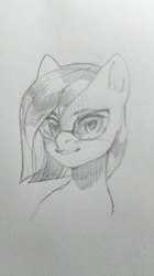 Size: 337x600 | Tagged: safe, artist:share dast, oc, oc only, oc:eve scintilla, earth pony, pony, bust, eyebrows, glasses, monochrome, pencil drawing, portrait, short mane, sketch, solo, traditional art