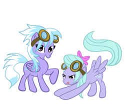 Size: 1849x1597 | Tagged: safe, artist:silversthreads, cloudchaser, flitter, pegasus, pony, g4, female, goggles, mare, simple background, transparent background, twins