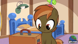 Size: 640x360 | Tagged: safe, artist:jan, button mash, pony, button's adventures, g4, animated, gif, i don't get it, male, reaction image, solo