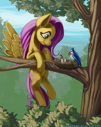 Size: 800x1000 | Tagged: safe, artist:lexx2dot0, fluttershy, bird, pegasus, pony, bird nest, feeding, female, forest, looking at something, mouth hold, nest, scenery, solo, spread wings, tree, tree branch
