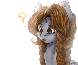 Size: 1024x853 | Tagged: safe, artist:ognevitsa, oc, oc only, earth pony, pony, braid, female, mare, question mark, simple background, solo, white background