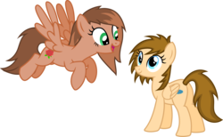 Size: 9257x5718 | Tagged: safe, artist:itspeahead, oc, oc only, oc:kathrine, oc:stellar winds, pegasus, pony, g4, absurd resolution, cutie mark, duo, flying, show accurate, simple background, smiling, transparent background, vector