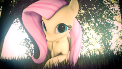 Size: 3840x2160 | Tagged: safe, artist:melodycloud14, fluttershy, g4, 3d, crossed legs, female, grass, high res, looking at you, poster, solo, source filmmaker, tree