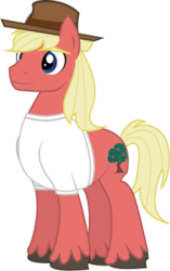 Size: 242x385 | Tagged: safe, artist:casualcolt, oc, oc only, oc:scifresh, earth pony, pony, clothes, hat, shirt, simple background, solo, transparent background