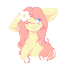 Size: 1024x910 | Tagged: safe, artist:bunnzee, fluttershy, g4, big ears, blushing, bust, cheek fluff, female, floppy ears, flower, flower in hair, fluffy, heart, hoof on chest, looking away, looking up, one eye closed, portrait, signature, simple background, smiling, solo, tongue out, transparent background, unshorn fetlocks, wink