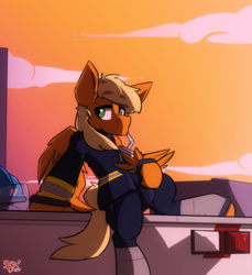 Size: 1280x1397 | Tagged: safe, artist:bbsartboutique, oc, oc only, oc:rapid rescue, pegasus, pony, clothes, cup, relaxing, solo, sunset, uniform