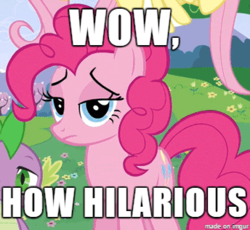 Size: 344x316 | Tagged: safe, edit, edited screencap, screencap, fluttershy, pinkie pie, spike, g4, deadpan snarker, dude not funny (reaction image), image macro, meme, pinkie pie is not amused, reaction image, sarcasm, unamused, unimpressed, when she doesn't smile