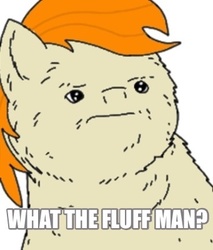 Size: 341x400 | Tagged: safe, artist:pizzamovies, oc, oc only, oc:pizzamovies, fluffy pony, pony, fluffy, image macro, male, meme, solo, stallion, what the fuck man