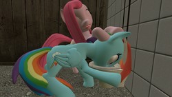 Size: 1920x1080 | Tagged: safe, artist:mendrick94, pinkie pie, rainbow dash, earth pony, pegasus, pony, g4, 3d, abuse, but why, dashabuse, female, mare, pinkamena diane pie, swirly, toilet