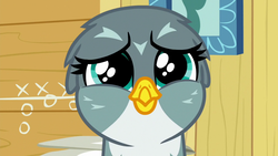 Size: 1280x720 | Tagged: safe, screencap, gabby, griffon, g4, the fault in our cutie marks, cute, female, gabbybetes, solo