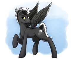 Size: 2400x1900 | Tagged: safe, artist:snowpaca, oc, oc only, oc:silver night, pegasus, pony, male, monochrome, raised hoof, simple background, solo, stallion, transparent background