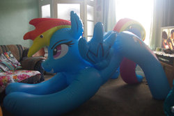 Size: 1280x857 | Tagged: safe, rainbow dash, inflatable pony, pegasus, g4, bootleg, female, hongyi, indoors, inflatable, inflatable pegasus, inflation valve, irl, iwtcird, mare, meme, opaque inflatable, photo