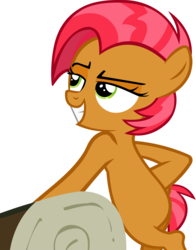 Size: 3742x4771 | Tagged: safe, artist:ironm17, babs seed, g4, sleepless in ponyville, absurd resolution, bipedal, cool, crossed hooves, female, simple background, smug, solo, transparent background, vector, wood