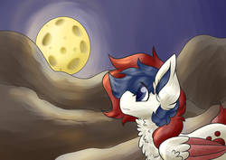 Size: 4092x2893 | Tagged: safe, artist:sinnocturnal, oc, oc only, pegasus, pony, high res, night, solo
