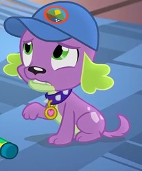 Size: 397x480 | Tagged: safe, screencap, spike, spike the regular dog, dog, equestria girls, g4, my little pony equestria girls: legend of everfree, cap, collar, frown, gritted teeth, hat, looking up, male, raised hoof, solo, worried