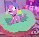 Size: 136x129 | Tagged: safe, screencap, spike, spike the regular dog, dog, equestria girls, g4, my little pony equestria girls: legend of everfree, bed, cap, hat, looking around, male, solo