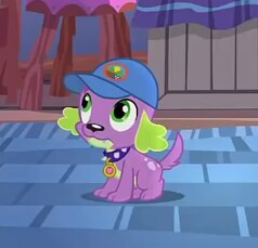 Size: 238x229 | Tagged: safe, screencap, spike, spike the regular dog, dog, equestria girls, g4, my little pony equestria girls: legend of everfree, cap, hat, looking up, male, solo