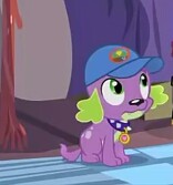 Size: 156x167 | Tagged: safe, screencap, spike, spike the regular dog, dog, equestria girls, g4, my little pony equestria girls: legend of everfree, cap, hat, looking up, male, solo