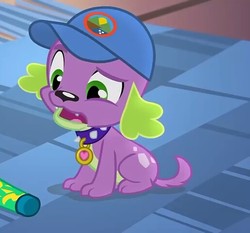 Size: 515x480 | Tagged: safe, screencap, spike, spike the regular dog, dog, equestria girls, g4, my little pony equestria girls: legend of everfree, cap, hat, looking down, male, solo, sunscreen