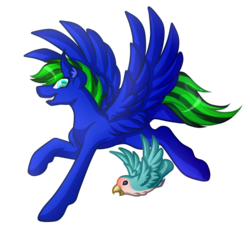 Size: 4441x4052 | Tagged: safe, artist:amazing-artsong, oc, oc only, oc:bruce, oc:circuit breaker, bird, pegasus, pony, absurd resolution, colored pupils, flying, male, non-mlp oc, simple background, spread wings, stallion, transparent background