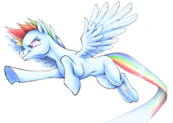 Size: 4610x3288 | Tagged: safe, artist:king-ghidorah, rainbow dash, g4, female, flying, high res, simple background, solo, traditional art, white background