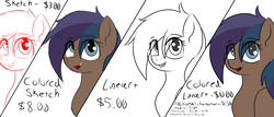 Size: 3500x1500 | Tagged: safe, artist:eclipsepenumbra, oc, oc only, oc:arclight, earth pony, pony, commission info, lineart, sketch, smiling