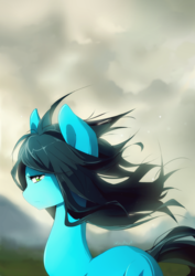 Size: 920x1300 | Tagged: safe, artist:skyeypony, oc, oc only, earth pony, pony, cloud, cloudy, female, looking at you, mare, signature, solo, wind