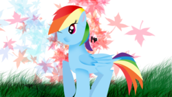 Size: 1366x768 | Tagged: safe, artist:celeslun03, rainbow dash, pegasus, pony, g4, female, one eye closed, raised hoof, solo