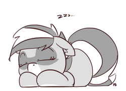 Size: 2555x1836 | Tagged: safe, artist:pabbley, oc, oc only, oc:bandy cyoot, pony, raccoon pony, cute, ocbetes, simple background, sleeping, solo, white background, zzz
