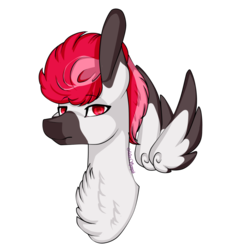 Size: 1024x1024 | Tagged: safe, artist:symphstudio, oc, oc only, oc:bloodbath, pegasus, pony, bust, chest fluff, floating wings, male, portrait, simple background, solo, stallion, transparent background