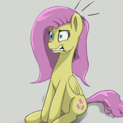 Size: 911x909 | Tagged: safe, artist:sv37, fluttershy, g4, female, folded wings, gray background, gritted teeth, looking away, mismatched eyes, simple background, sitting, solo, twitch